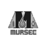 logo_mursec